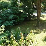 Hotel Exotica Zlate písky