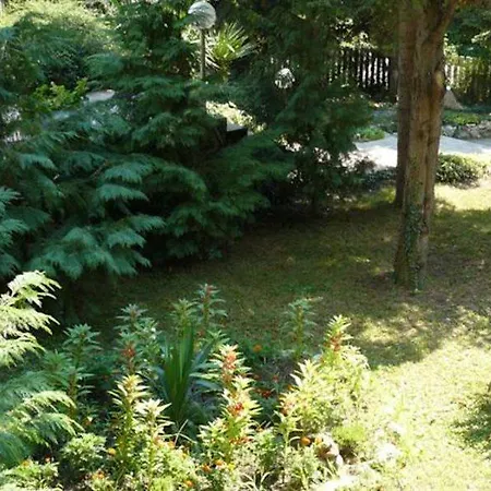 Hotel Exotica Goudstrand